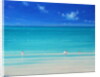 Summer Beach by Derek Hare