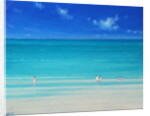 Summer Beach by Derek Hare