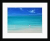 Summer Beach by Derek Hare