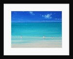 Summer Beach by Derek Hare