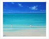 Summer Beach by Derek Hare