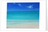 Summer Beach by Derek Hare