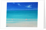Summer Beach by Derek Hare