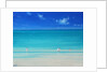 Summer Beach by Derek Hare