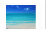 Summer Beach by Derek Hare