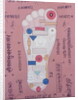 Tantric diagram of the right foot by School Indian