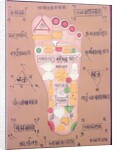 Tantric diagram of the right foot by School Indian