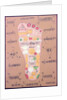 Tantric diagram of the right foot by School Indian