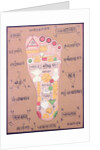 Tantric diagram of the right foot by School Indian
