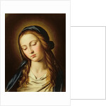 Head of the Madonna by Il Sassoferrato