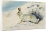 Hare by Archibald Thorburn