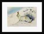 Hare by Archibald Thorburn