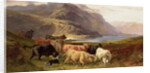 Highland Cattle with a Collie by Joseph & Adam Joseph Denovan (1846-96) Adam