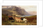 Highland Cattle with a Collie by Joseph & Adam Joseph Denovan (1846-96) Adam
