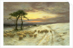 Sheep in the Snow by Joseph Farquharson