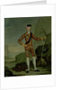 Prince Charles Edward in Tartan by Italian School