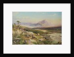 End of the Shoot, Loch Maree by Thomas Miles II Richardson