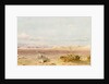 Sand Hills in the Desert, Cairo, Suez, 1859 by Carl Haag