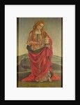 A Female Saint with a Chalice, possibly Mary Magdalene, probably 16th century by Italian School