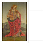 A Female Saint with a Chalice, possibly Mary Magdalene, probably 16th century by Italian School