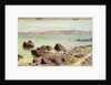 Rocky Shore, 1889 by Vasilij Dmitrievich Polenov