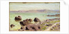 Rocky Shore, 1889 by Vasilij Dmitrievich Polenov