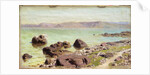 Rocky Shore, 1889 by Vasilij Dmitrievich Polenov