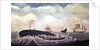 Whaling in the South Pacific by American School