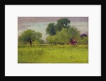 Apple Orchard, 1892 by George Snr. Inness