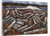 Log Jam, Penobscot Bay, 1940-41 by Marsden Hartley