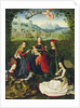 The Virgin of the Rose Garden, 1475-80 by Master of the St. Lucy legend