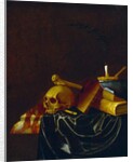 Vanitas, 1692 by Francois van Daellen