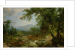 Monument Mountain, Berkshires, 1855-60 by Asher Brown Durand