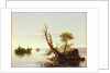 American Lake Scene, 1844 by Thomas Cole