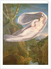 Echo Flying from Narcissus, 1795-98 by Guy Head