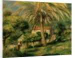 Palm Trees, 1902 by Pierre Auguste Renoir