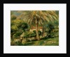 Palm Trees, 1902 by Pierre Auguste Renoir