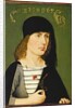 A Young Man, 1486 by Michael Wolgemut or Wolgemuth