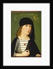 A Young Man, 1486 by Michael Wolgemut or Wolgemuth