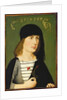 A Young Man, 1486 by Michael Wolgemut or Wolgemuth