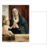 Madonna and Child, late 15th to early 16th century by Giovanni Battista Cima da Conegliano