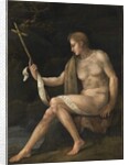 Saint John the Baptist in the Wilderness by Francesco Ubertini Il Bacchiacca