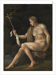 Saint John the Baptist in the Wilderness by Francesco Ubertini Il Bacchiacca