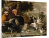 Poultry Yard, c.1668 by Melchior de Hondecoeter