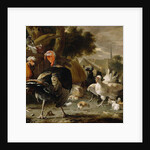 Poultry Yard, c.1668 by Melchior de Hondecoeter