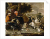 Poultry Yard, c.1668 by Melchior de Hondecoeter