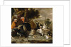 Poultry Yard, c.1668 by Melchior de Hondecoeter