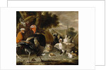 Poultry Yard, c.1668 by Melchior de Hondecoeter
