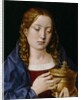 Catherine of Aragon as the Magdalene by Michiel Sittow