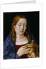 Catherine of Aragon as the Magdalene by Michiel Sittow